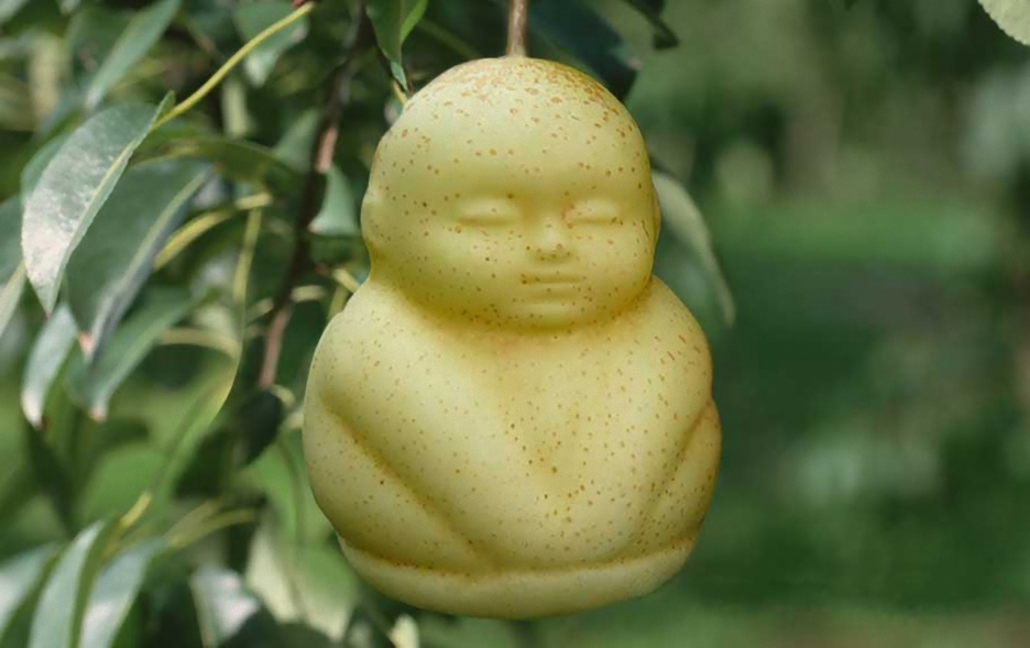 Baby Shaped Pear
